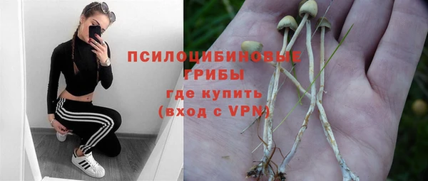 a pvp Алексин